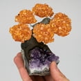 thumbnail image 3 of Astro Gallery of Gems Genuine Citrine Clustered Decorative Gemstone Tree, Bag, 3 of 4