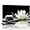 Artwork 02, variant on Zen White Lotus Flower Wall Art Black and White Lotus on Spa Stone and Water Picture Canvas Print Artwork for Yoga Meditation Room Bathroom Wall Decor
