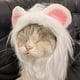 thumbnail image 4 of Popular! Funny Pet Costumes, Cats And Dogs Transformed Into Funny Holiday Costumes, Wild Hats And Headgear, 4 of 5