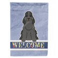 thumbnail image 1 of Carolines Treasures BB5673CHF Cocker Spaniel Black Welcome Flag Canvas House Size, 1 of 4