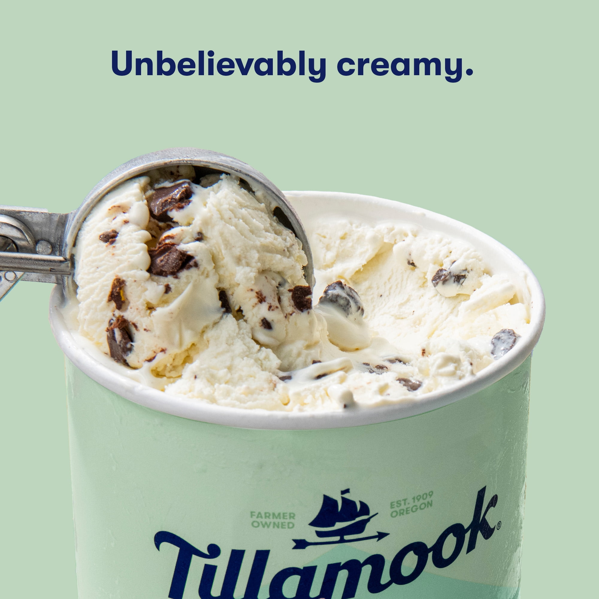 Tillamook Original Premium Mint Chocolate Chip Ice Cream, 48 fl oz