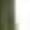 Army Green, variant on Leggings for Women Shiny Stretch Fluorescent Elastic Rised Milk Silk Versatile Trousers Tights Workout Pants