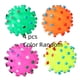 thumbnail image 4 of Dog Squeaky Ball Chew Toy - Assorted Varieties, 4 of 4