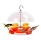 thumbnail image 2 of Comedero Para Pájaros Colgante Para Exteriores, Dispensador De Alimentos, Estación De Alimentación A Prueba De Ardillas Con Techo Transparente Para Balcón, Patio, Jardín, Parque seitruly TO004274-00, 2 of 6