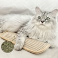 thumbnail image 4 of Cat Nail File Scraper and Teeth Cleaning Pad Interactive Grooming Toy for Indoor Cats Stress, 4 of 6