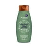 Aveeno Fresh Greens Blend Sulfate-Free Conditioner with Rosemary, Peppermint & Cucumber to Thicken & Nourish, Clarifying & Volumizing for Thin or Fine Hair, Paraben-Free, 18 fl oz