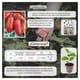 thumbnail image 3 of Semillas Jitomate tipo Saladet Vita, 3 of 5