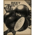 thumbnail image 3 of Vision Studio 20x24 Black Modern Framed Museum Art Print Titled - Vintage Seed Pack III, 3 of 5
