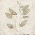 thumbnail image 2 of Purinton, Julia 15x15 Black Ornate Wood Framed with Double Matting Museum Art Print Titled - Plantlife II, 2 of 4