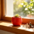 thumbnail image 6 of Mini Plastic Flower Pots Ribbed Small Round Planter for Cactus Plant, 6 of 6