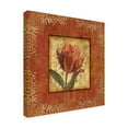 thumbnail image 2 of Trademark Fine Art 'Red and Gold Flower I' Canvas Art by Lisa Audit, 2 of 3