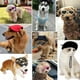 thumbnail image 5 of 2 paquetes de gorras con visera para perros, gorra de béisbol para mascotas, gorras de protección solar para perros, gorra deportiva para exteriores con orificios para las orejas, 5 of 5