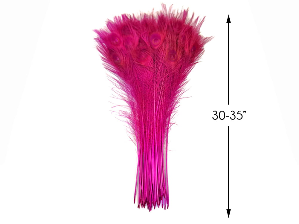 Jooks Pheasant Feather Natural Cock Feathers High Quality Cock Feather Craft Arts Ideal for Costumes Hats Home Decor 30 To 35 CM 