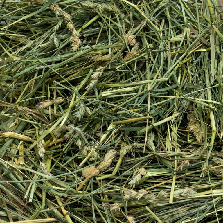 Rabbit Hole Hay Ultra Premium Coarse Orchard Grass, 4 oz. photo 4