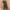 Army Green, variant on snowsong Jumpsuits For Women Rompers For Women 2023 Women's Short Sleeved Solid Color Lace Up Drawstring Casual Jumpsuit Shorts Women's Pants Army Green L