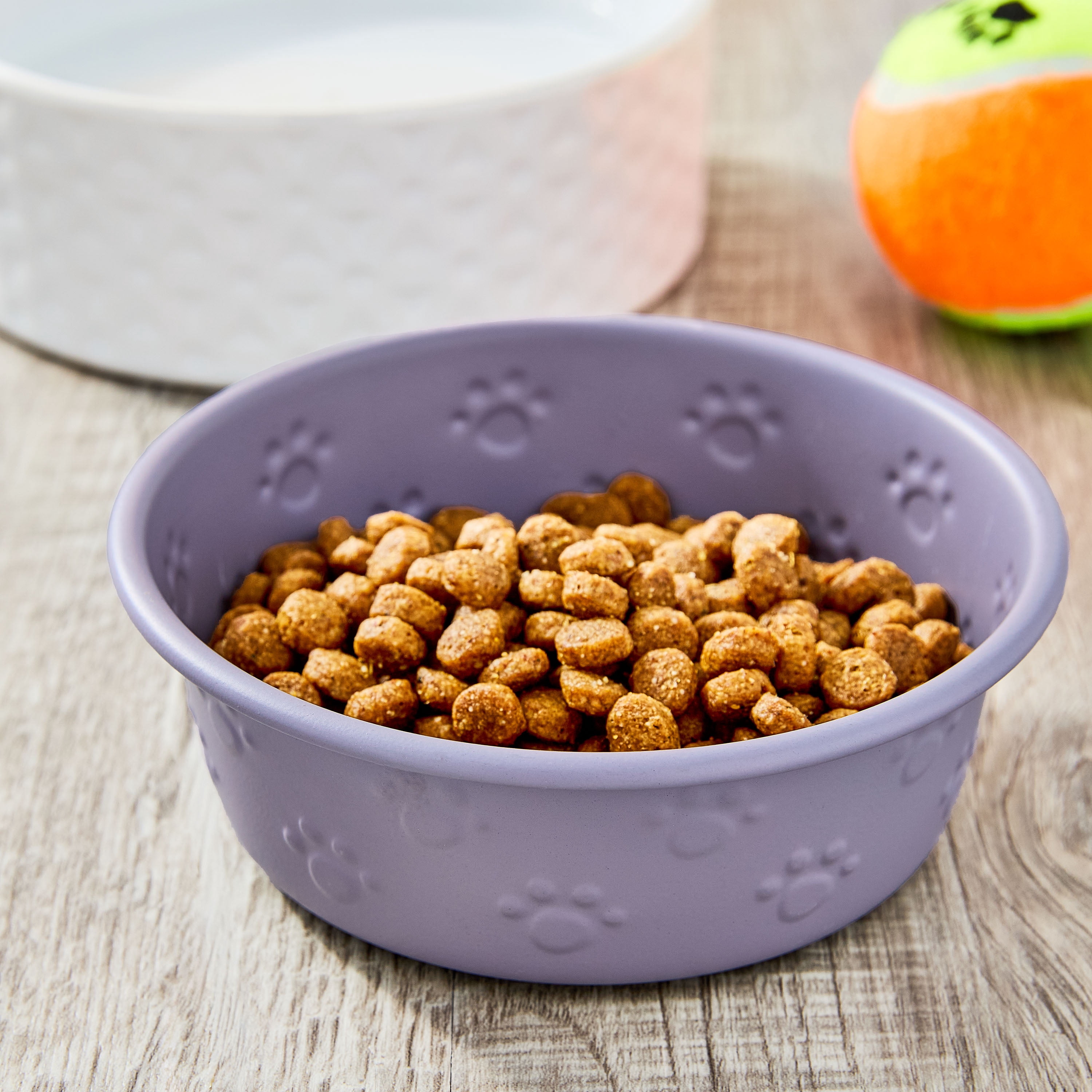 Vibrant Life Small Stainless Steel Embossed Dog Bowl, Purple Paws