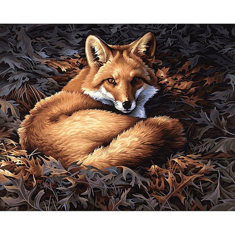 Paintworks Paint By Number 20x16 Sunlit Fox - Walmart.com