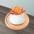 thumbnail image 2 of Wooden Vanity Tray Countertop Organizer Holder Serving Tray Candles Jewelry Storage Tray Soap Dispenser Tray Bathroom Tray for Kitchen Sink Round, 2 of 8