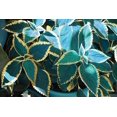 thumbnail image 2 of Nan 18x13 Black Ornate Wood Framed with Double Matting Museum Art Print Titled - Tropical Leaves, 2 of 4