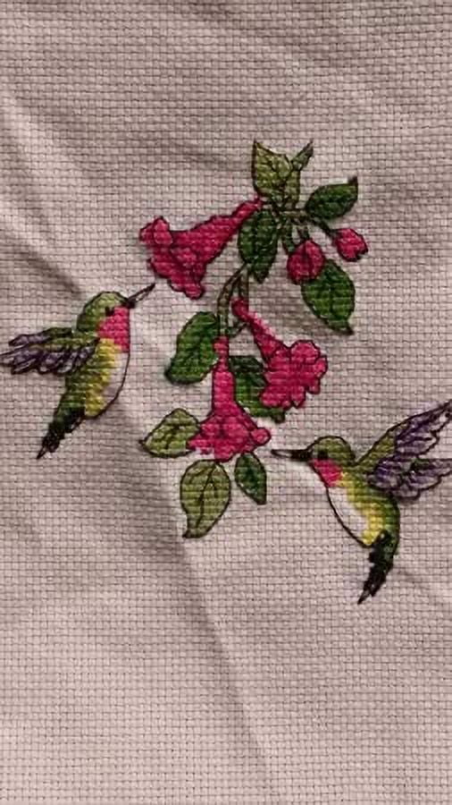 (5 pack) Dimensions Learn-A-Craft Counted Cross Stitch Kit 6" Round-Hummingbird Duo (14 Count)