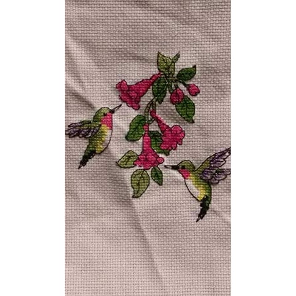 Dimensions Learn-A-Craft Counted Cross Stitch Kit 6" Round-Hummingbird Duo (14 Count)