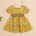 thumbnail image 3 of Bagilaanoe Toddler Baby Girl Summer Dress Short Sleeve A-line Dresses with Waistband 1T 2T 3T 4T 5T 6T Kids Casual Swing Sundress, 3 of 6
