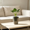 thumbnail image 7 of Large Modern Plant Pot with Drainage Holes for Indoor and Outdoor Plants Lightweight Self-Watering Planter for Home Office 27.2CM, 7 of 7