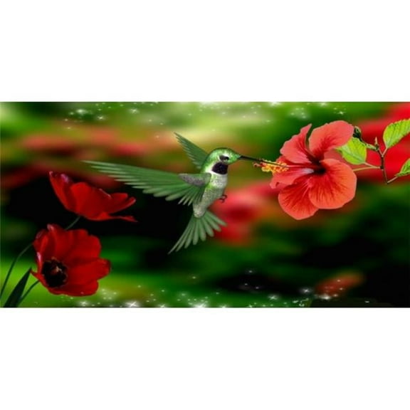 212 Main LPO4067 6 x 12 in. Hummingbird with Red Flowers Photo License Plate