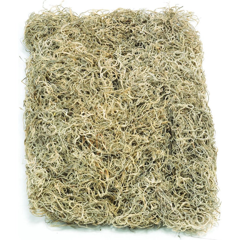 Dried Spanish Moss colors Single Bag Natural