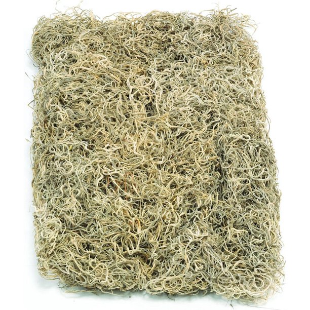 Dried Spanish Moss colors Single Bag Natural
