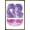 Bronze Framed Version, variant on Sonny and Cher - Westbury Music Fair Wall Poster, 22.375" x 34" Framed