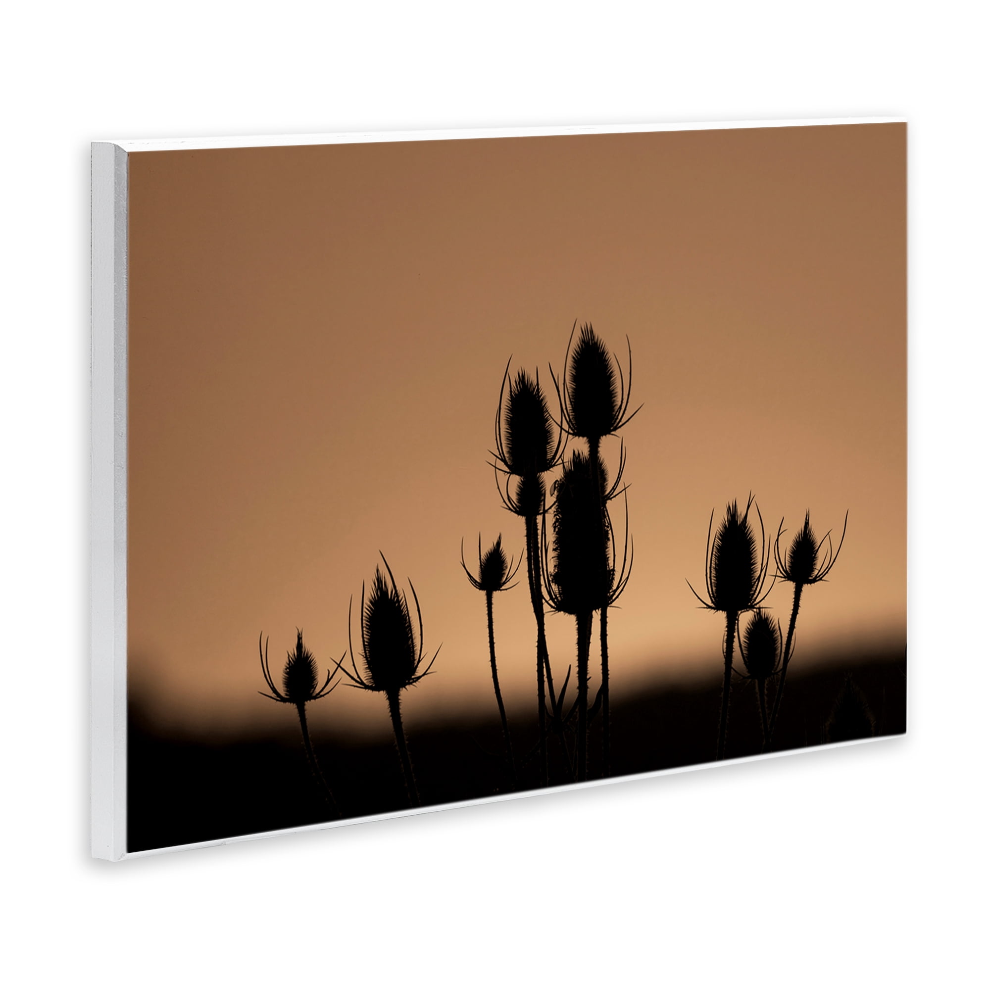 Stupell Industries Botanical Sprigs Silhouettes Plants & Flowers Photography Unframed Art Print Wall Art, 19 x 13