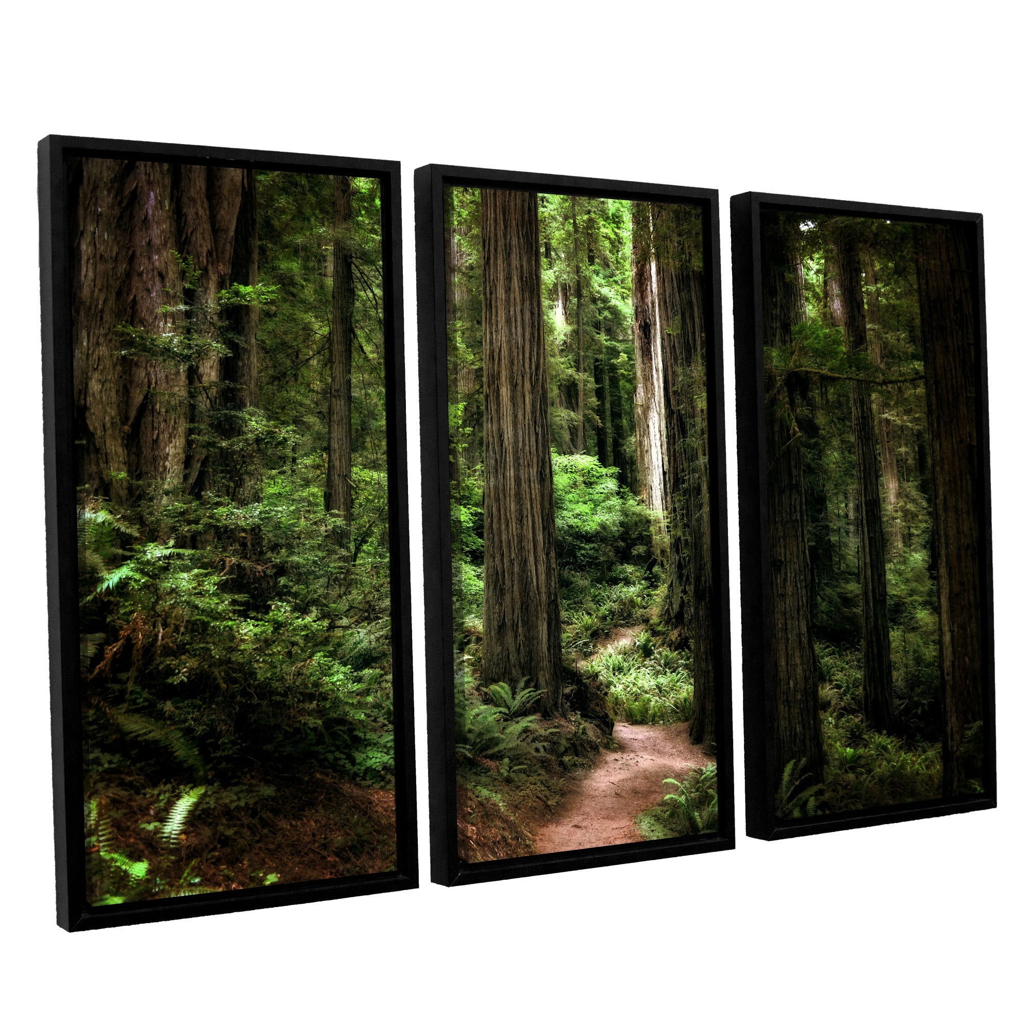 ArtWall Kevin Calkins "Enchanted Path" 3-Piece Floater Framed Canvas Set