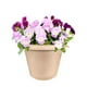 Akro-mils Classique Pot de Fleurs Tan 8 Pouces Pack de 24 - 12008SANDS – image 2 sur 3