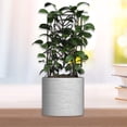 thumbnail image 6 of Kiskick Potted Plants Trellis Metal Plants Trellis for Indoor Outdoor Potted Flowers Hollow Leaf Design Climbing Support Stake for Houseplants Ivy Vines Heavy, 6 of 8
