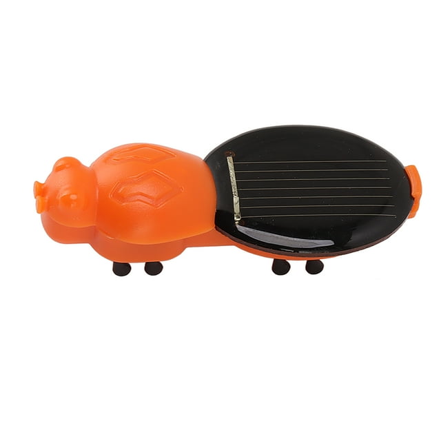 Juguete modelo de insecto solar modelo de insecto simulado de material didáctico aprendizaje realista para preescolar ANGGREK Otros