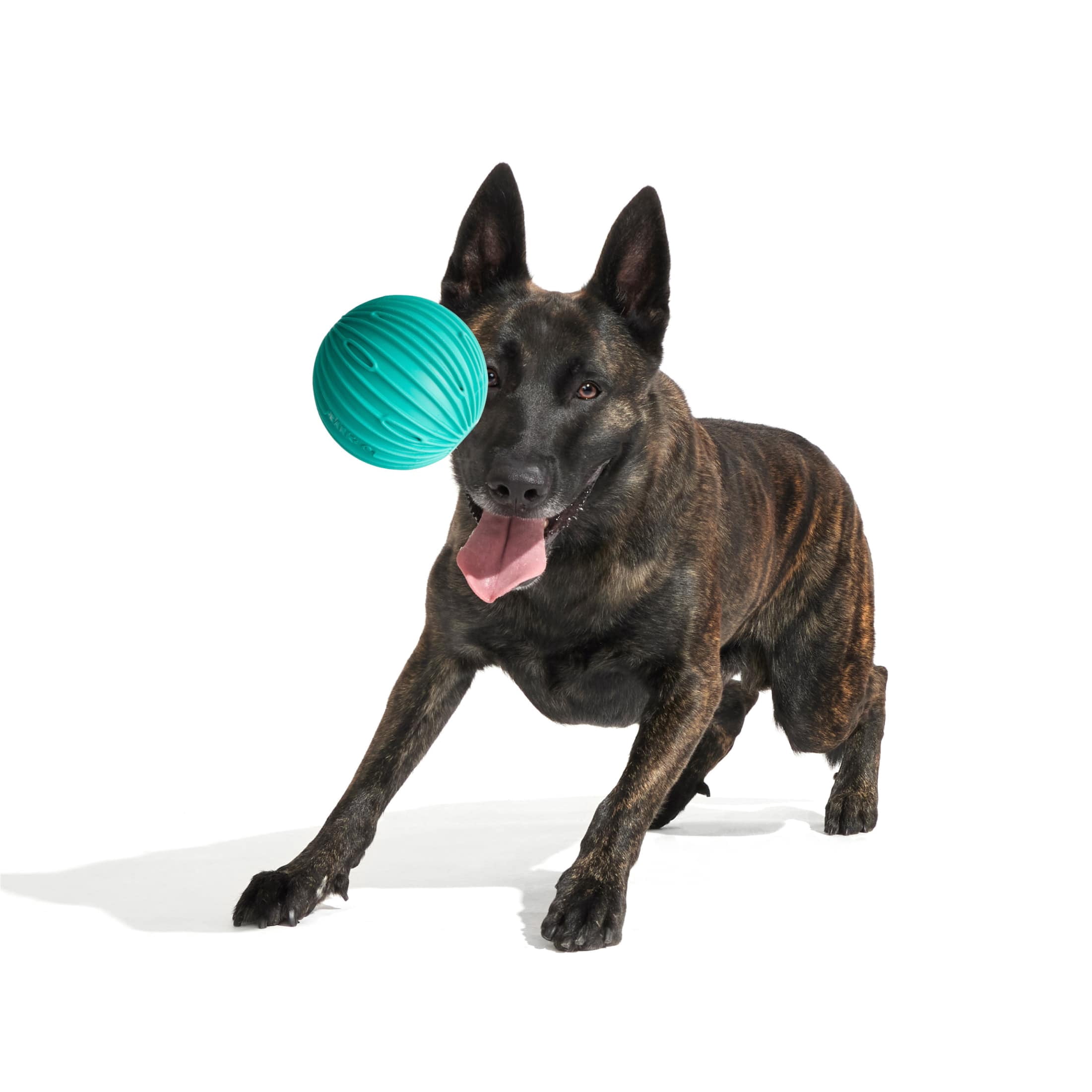 BARK Super Chewer Sea Foam Reef Ball Green Rubber Dog Toy