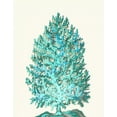 thumbnail image 2 of Fab Funky 15x18 White Modern Wood Framed Museum Art Print Titled - Coral Tree Turquoise on Cream, 2 of 4