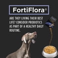thumbnail image 5 of Veterinary Supplements Canine Probioti FortiFlora Powdered Dog Supplement 30g, 5 of 5