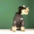 thumbnail image 2 of The Dog Face Jacket - Type A, 2 of 14