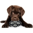 thumbnail image 5 of Pets First NFL Las Vegas Raiders Football Treat Dispensing Toy for Dogs and Cats, Rubber Ball Toy, 5 of 7
