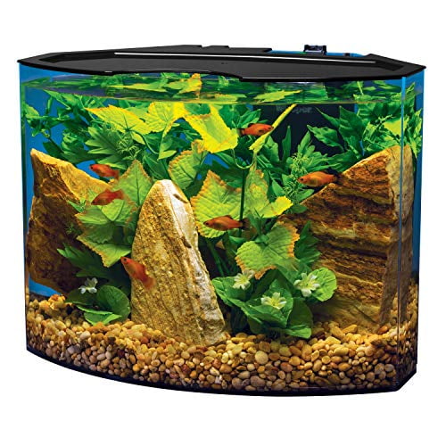 square aquarium