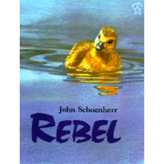 Pre-Owned Rebel
