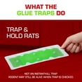 thumbnail image 6 of Tomcat Super Hold Glue Traps Rat Size, Ready-To-Use, 2 Traps, 6 of 11