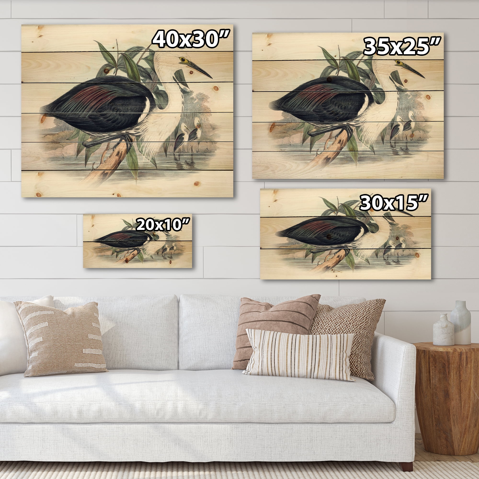 Designart 'Ancient Birds Of Australia' Traditional Print on Natural Pine Wood