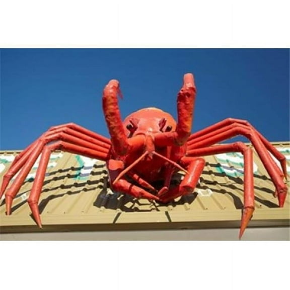 Crustacean Giant Lobster Stanley Tasmania Australia Poster Print by David Wall - 29 x 19 in.