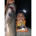 thumbnail image 5 of Catfish Pro Tournament Series Double Offset Circle Carbon Steel Fishing Hook 9/0, 5 of 6