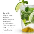 thumbnail image 5 of Viski Gold Accent Tumblers Set of 2 - Cocktail Glasses, Highball Glass Set - 14 oz, 5 of 7