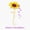 1pcs, variant on Suower You Are My Sunshine Epilepsy Awareness Er, Phone Decal Water Bottle Stickers Car Decals, Funny Birthday Gift
