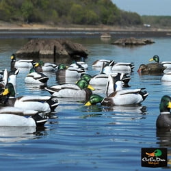 Avery Outdoors Ghg Pro Grade January Mallard Decoys Harvester